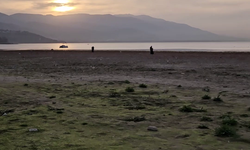 Sapanca Gölü'ndeki kuraklığa, ‘Suyun olduğu yerde insanlar mangal yapıyor' görseliyle dikkat çekti