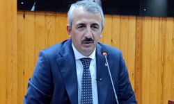 Saros Körfezi'nde su altına ‘Minyatür Edirne' şehri batırılacak