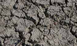 Seyhan Baraj Gölü'nde sular çekilince eski köprü gün yüzüne çıktı