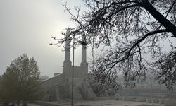 Sivas'ta yoğun sis etkili oldu