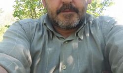 Üzerine serendi devrilip öldü