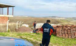 Yalova'da kaybolan Alzheimer hastası ormanda bulundu