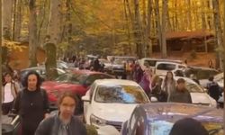 Yedigöller'i 2 ayda 180 bin kişi ziyaret etti