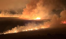 Yüksekova'daki Nehil Sazlığı'nda yangın