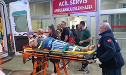 Zeytin bahçesindeki tepeden düşüp, yaralandı