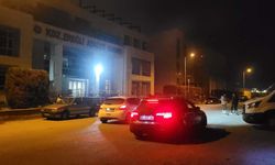 Zonguldak'ta silah kaçakçılığı operasyonunda 3 tutuklama