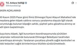 Ankara'da 2 kardeşe saldıran pitbull ve sahibi yakalandı (2)
