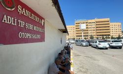 Arazi tartışmasında 13 yaşındaki kardeşini öldürdü