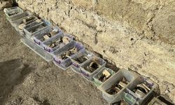 Cezayirli Gazi Hasan Paşa'ya ait köşk ve çiftlik kalıntıları gün yüzüne çıkarılıyor