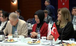 Cumhurbaşkanı Başdanışmanı Uçum: Cumhuriyet'in yükseliş dönemi yaşanacak (2)