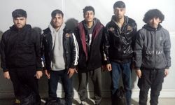 Edirne'de 20 kaçak göçmen yakalandı
