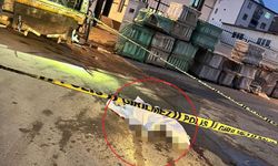 Elazığ’da çöp kamyonunun altında kalan belediye işçisi öldü