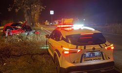 Eskişehir'de ağaca çarpan otomobilin sürücüsü ağır yaralandı