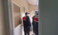 İstanbul - Arnavutköy'de 580 gündür aranan şüpheli evinde uyuşturucu madde yetiştirirken yakalandı