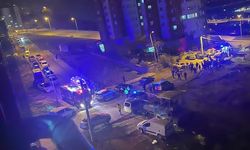 Kendisi ile konuşmak istemeyen Sultan'ı tabancayla vurarak öldürdü