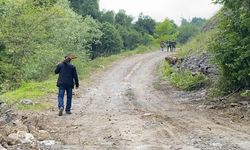 Kesilen 1183 yaşındaki porsuk ağacı, odun olmaktan kurtarıldı; İstanbul'da müzede sergilenecek