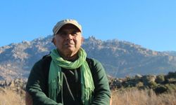 Kuşadası'nda 1 haftada 3 deniz kaplumbağası ölü bulundu