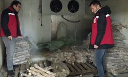 Manisa'da değeri 4 milyon lira olan bozulmuş kokoreç ele geçirildi