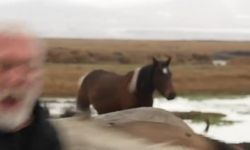 Sanatçı Onur Akın'a, klip çekimi sırasında at çarptı