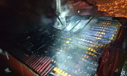 Yanan evden mahsur kalan papağanı itfaiye kurtardı