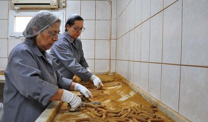 Festivalde saçılacak 8 ton mesir için mesai başladı