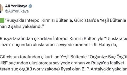 Kırmızı ve yeşil bültenle aranan 2 suçlu Türkiye'de yakalandı