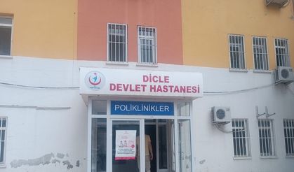 Diyarbakır’da yılanın ısırdığı çoban öldü
