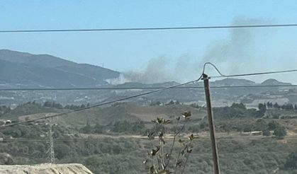 Hatay'da orman yangını