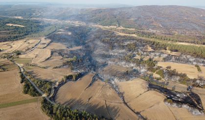 Çanakkale'de orman yangını kontrol altına alındı