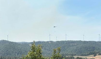 Çanakkale'de orman yangını