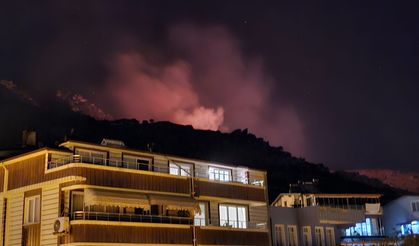 Marmara Adası'nda orman yangın