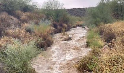 ABD'nin Arizona eyaletinde sel: 4 ölü