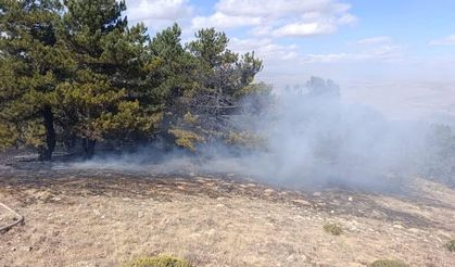 Konya'da orman yangını kontrol altında