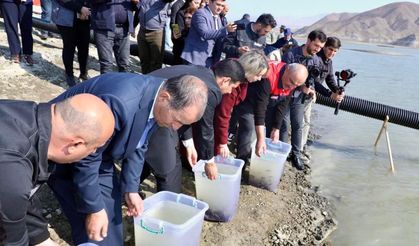 Hibe edilen 300 bin sazan balığı yavrusu, Haydar Aliyev Göleti'ne bırakıldı