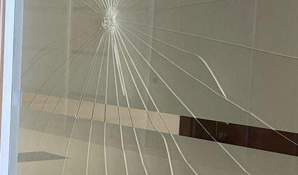Ağabeyi ceza aldı, karar sonrası mahkeme salonunun camına yumruk attı