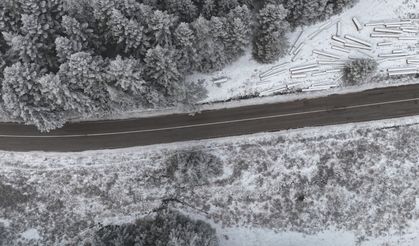 Bolu ormanlarında kar manzarası