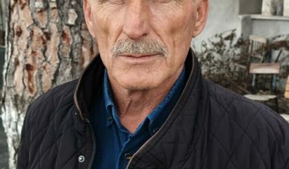 Kangal köpeği ile kurdun boğuştu anlar kamerada