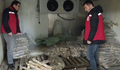 Manisa'da değeri 4 milyon lira olan bozulmuş kokoreç ele geçirildi