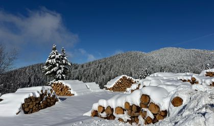 Ordu'da 2 bin rakımlı yaylada kar manzarası