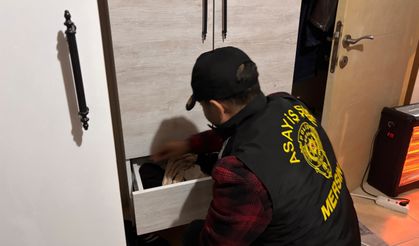 Yabancı uyruklu kadınları fuhşa zorlayan şebekeye operasyon; 3 tutuklama