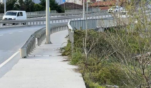 İstanbul- Uzaklaştırma kararı bittikten 1 gün sonra,  Zeliha'yı 13 kurşunla ağır yaraladı