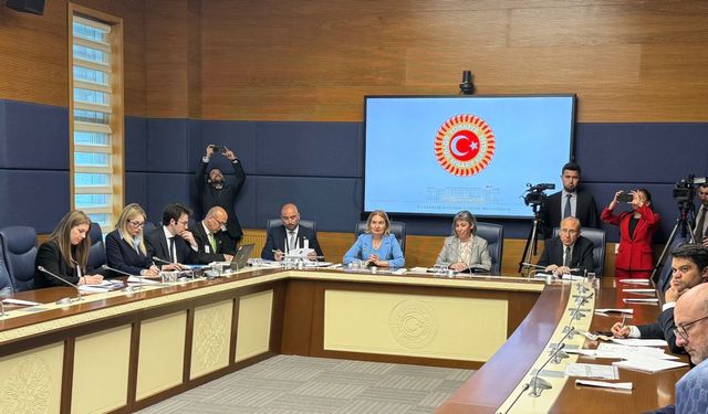 TBMM Yurt Dışı Türkler ve Akraba Toplulukları Alt Komisyonu toplandı