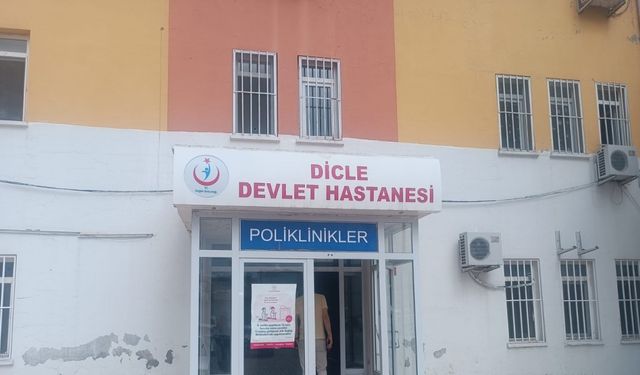 Diyarbakır’da yılanın ısırdığı çoban öldü