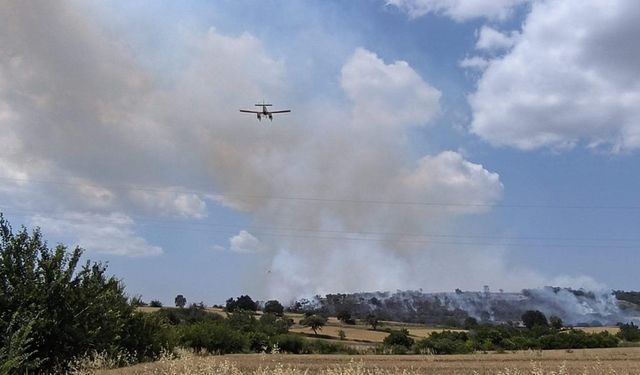 Edirne'de orman yangını
