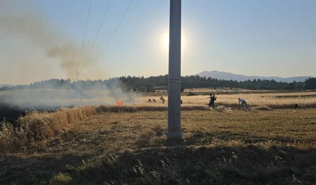 Gediz’de çıkan tarla yangınında, 5 dönüm ekili alan küle döndü