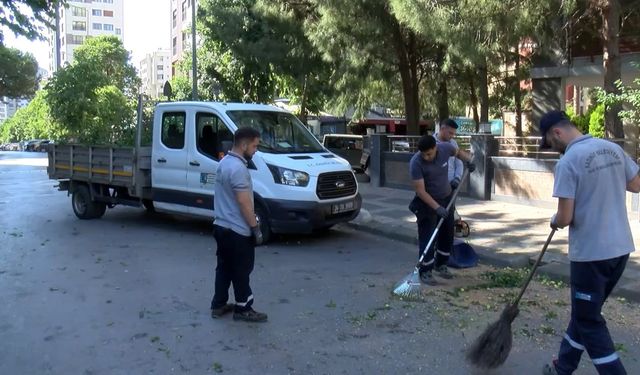 Kadıköy'de hafif ticari aracın üzerine ağaç devrildi