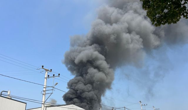 Kocaeli'de boya tesisinde yangın
