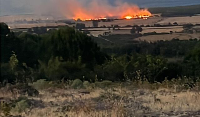 Çanakkale’de tarım arazisinde çıkan yangın 1.5 saatte kontrol altına alındı