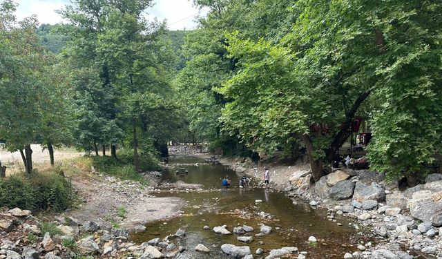 Sakarya'da Maden Deresi ve şelalesi kurudu