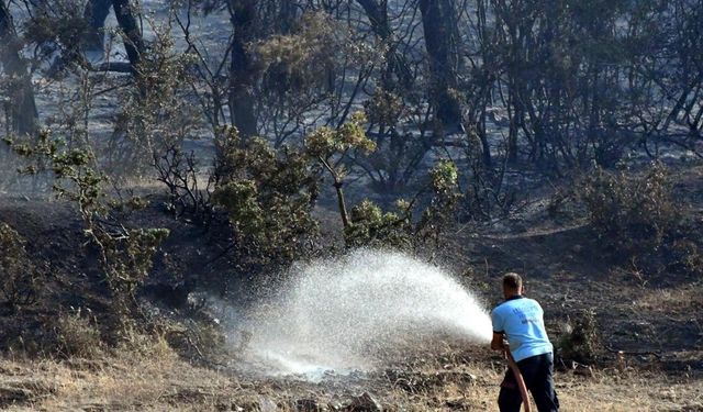 Tekirdağ'daki orman yangını 2'nci gününde